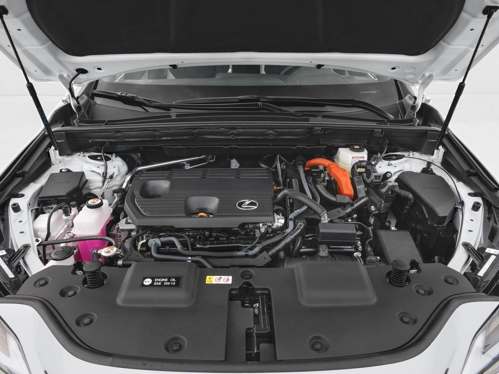 2025 Lexus NX 350h Premium AWD photo 8
