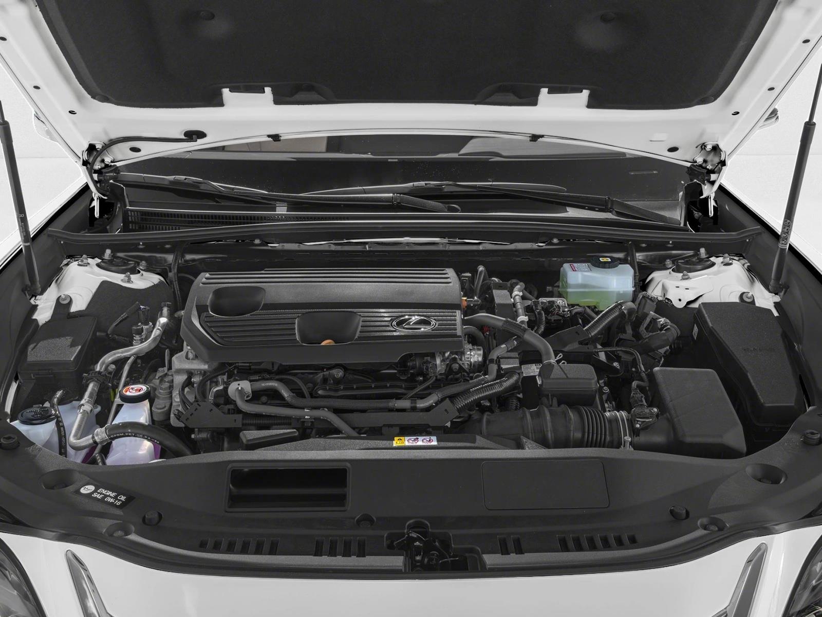 2025 Lexus ES 300h photo 8