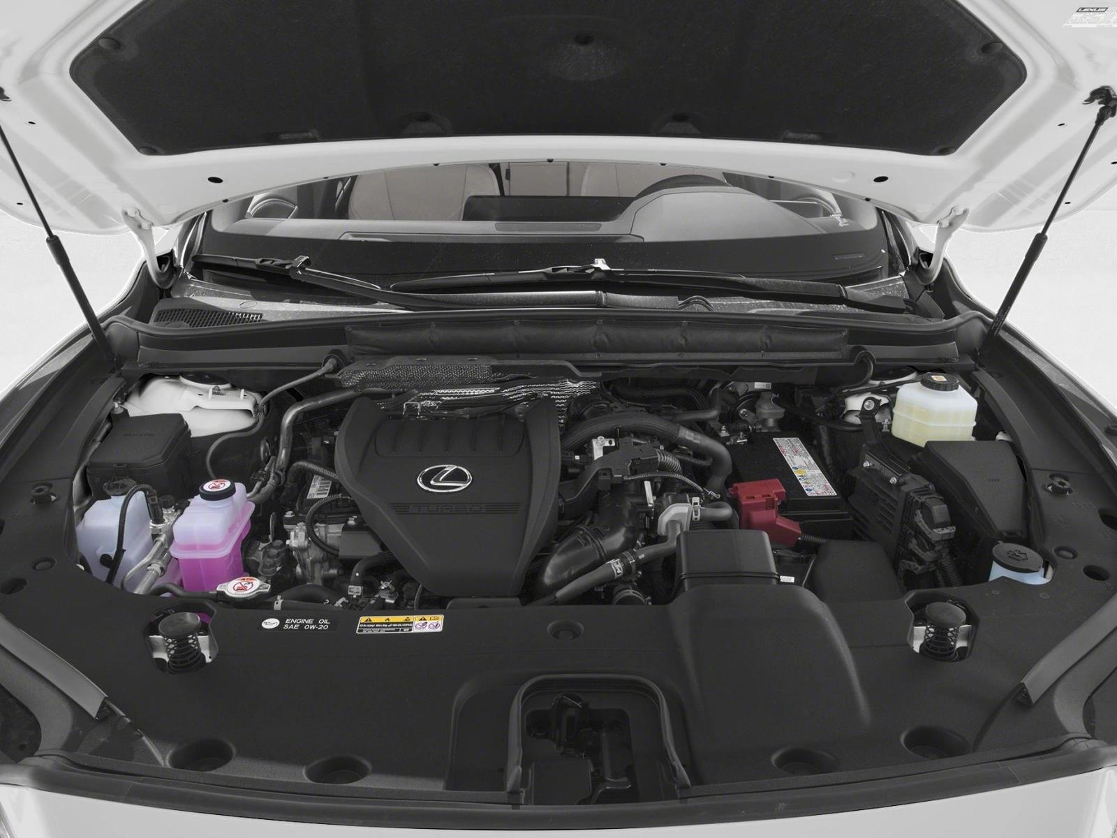 2025 Lexus RX 350 Premium photo 7