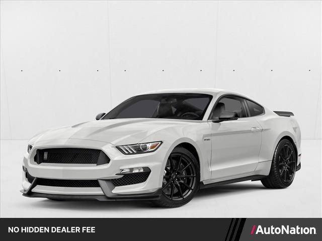 2018 Ford Mustang Shelby GT350 Fastback RWD