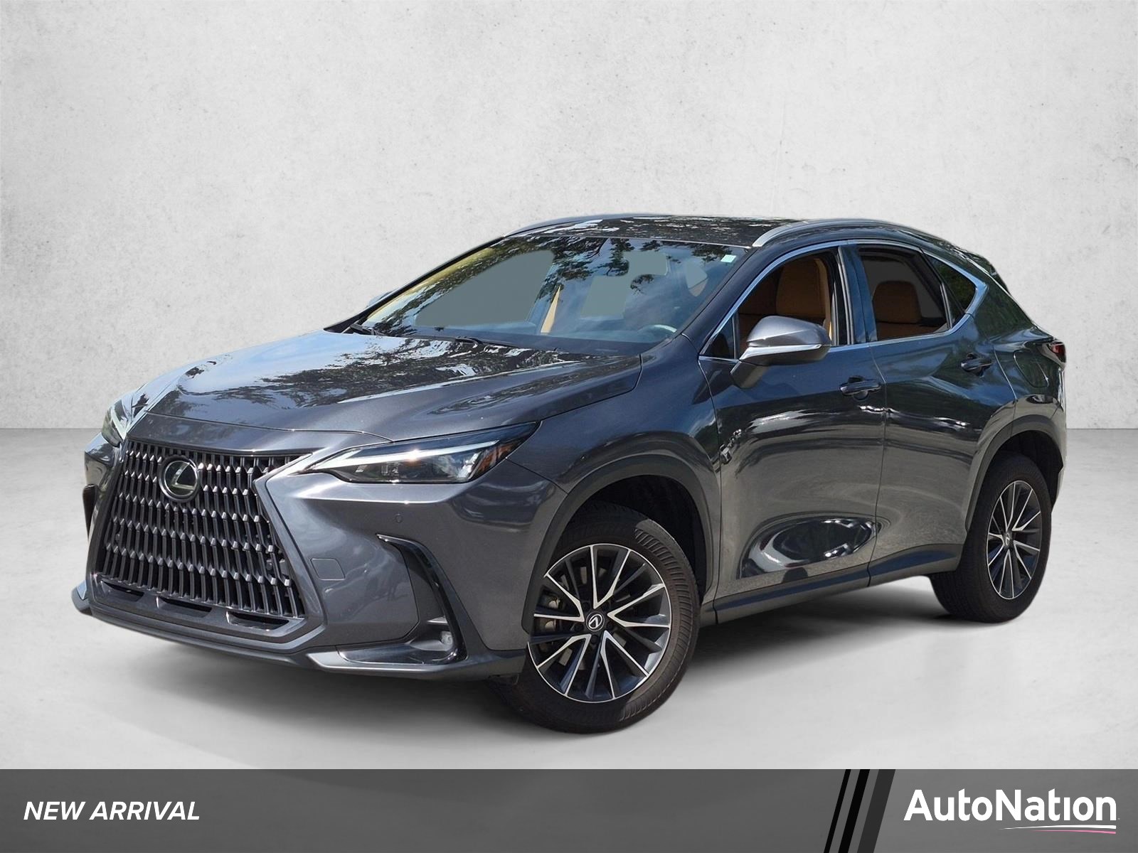 2025 Lexus NX