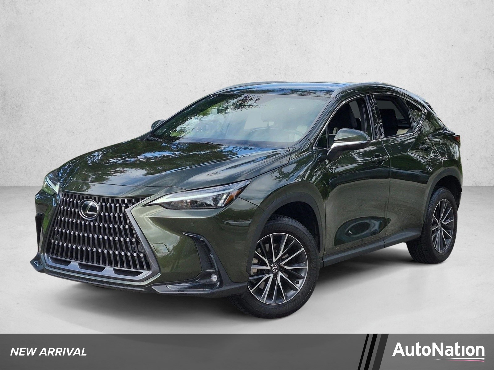 2024 Lexus NX