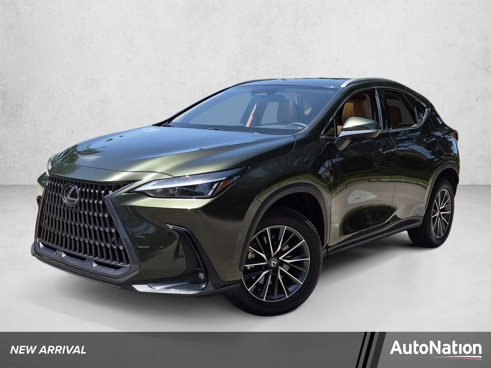 2025 Lexus NX NX 250 Premium