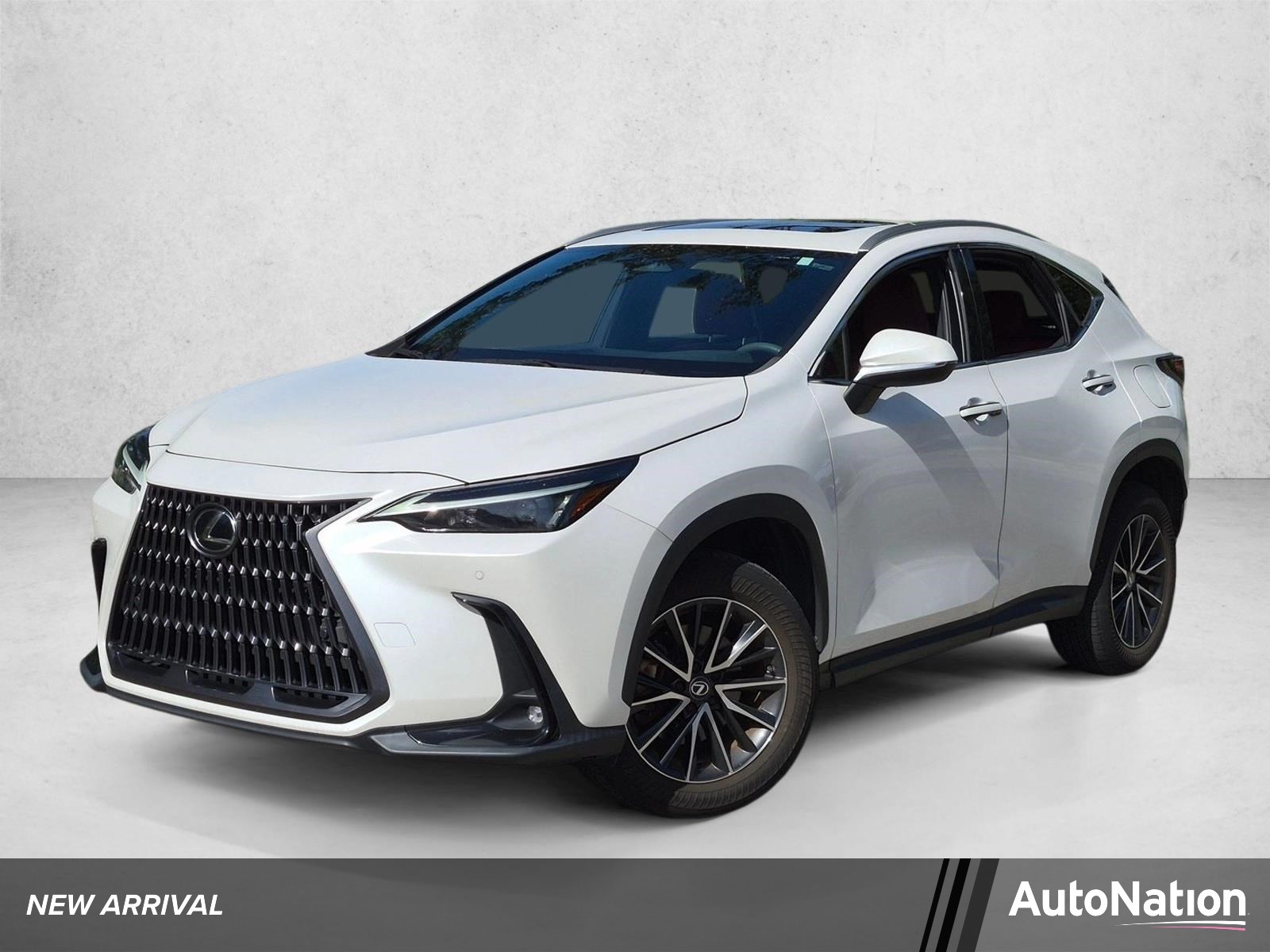2024 Lexus NX