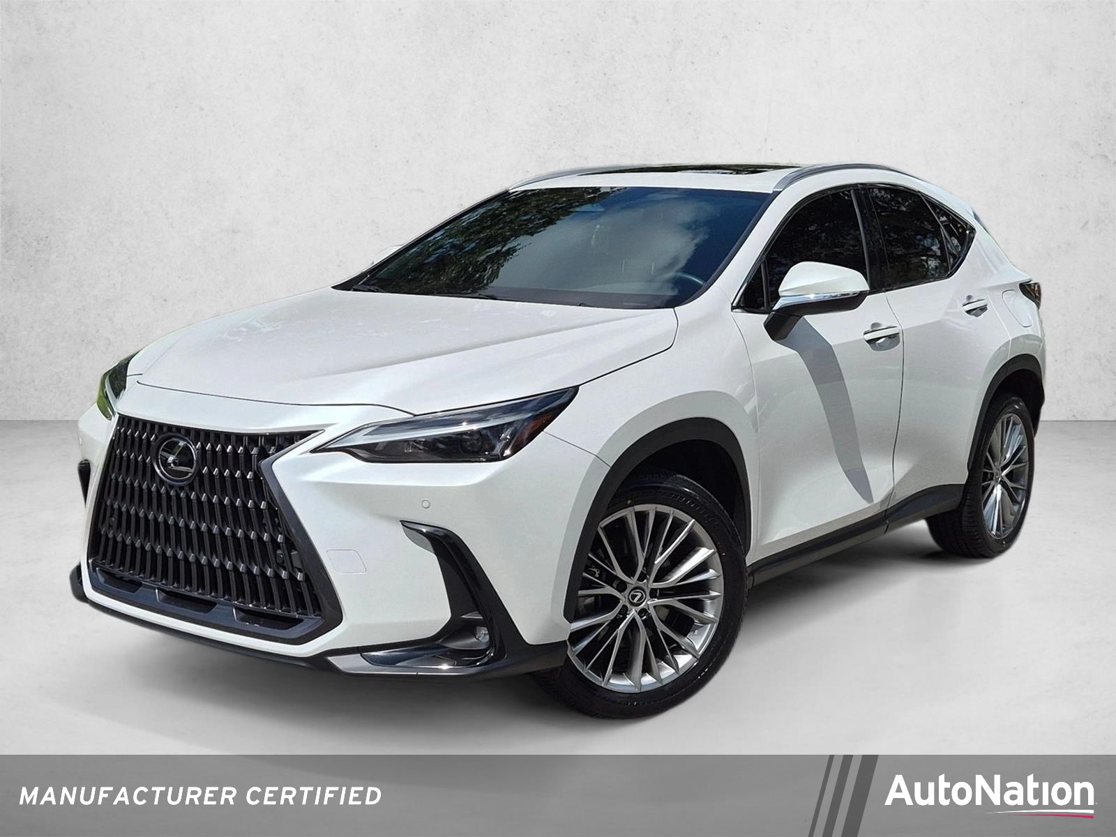 2025 Lexus NX NX 350 Premium