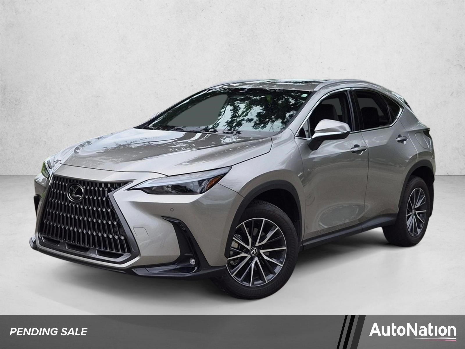 2024 Lexus NX