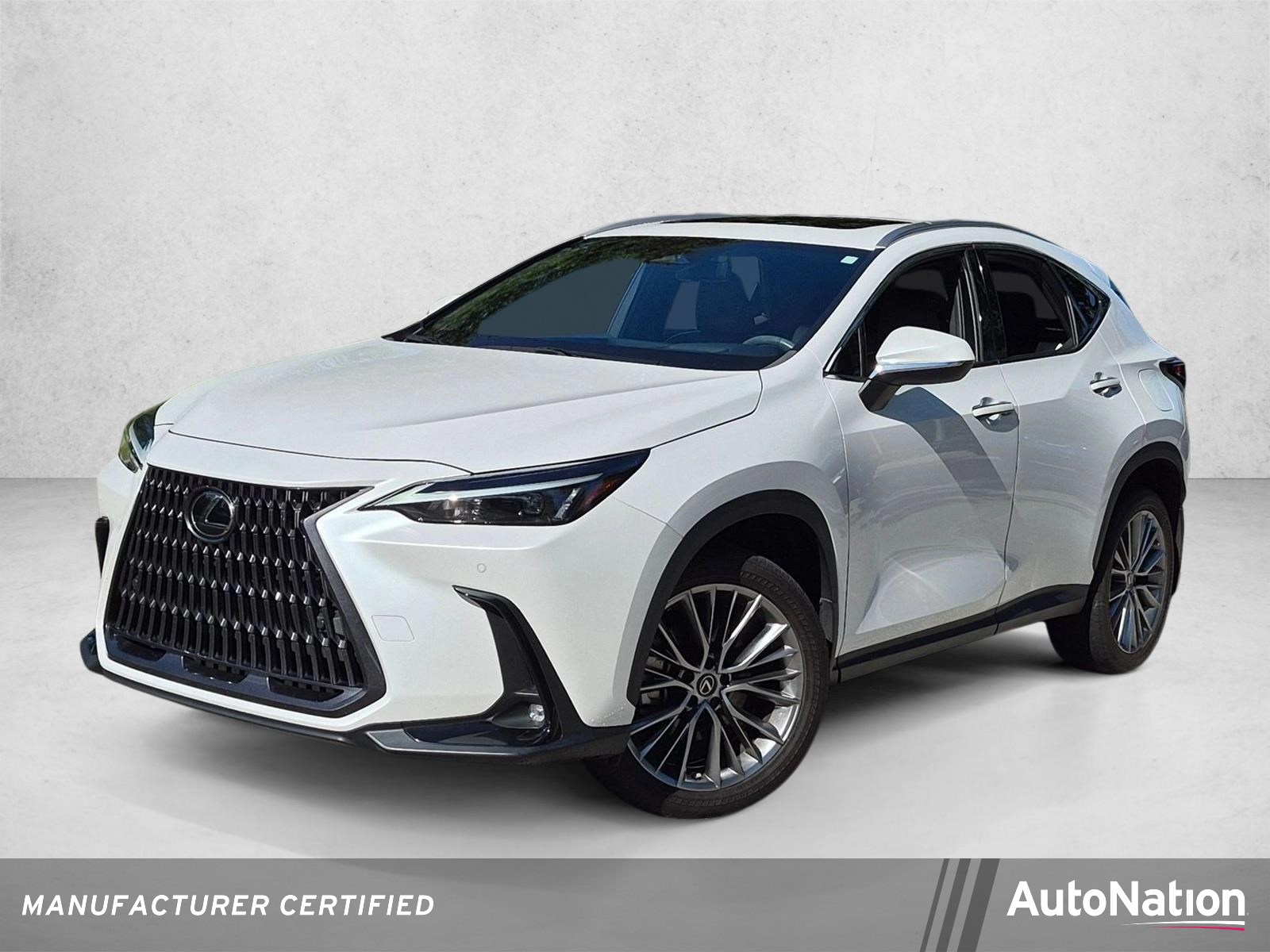 2023 Lexus NX