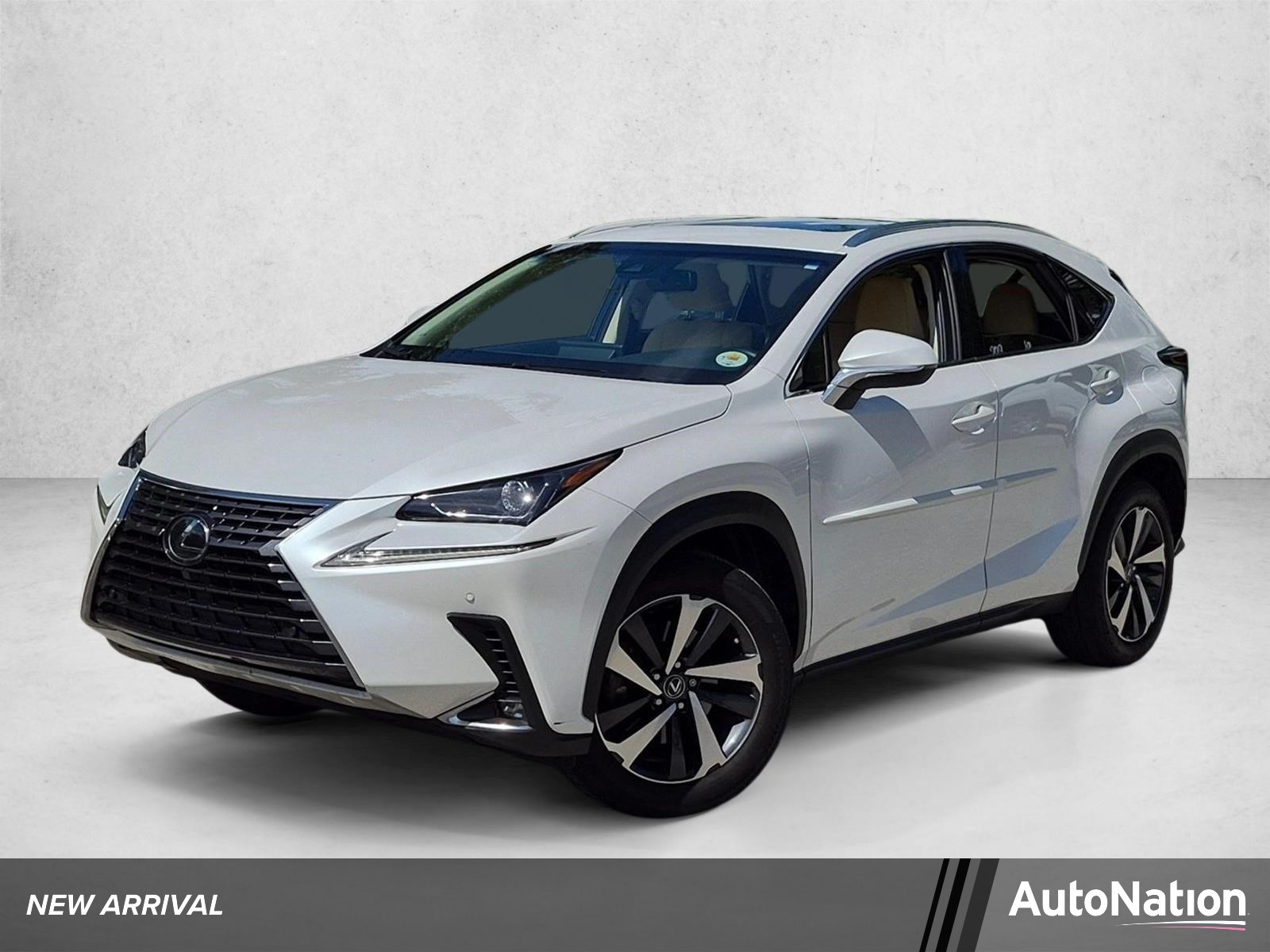 2019 Lexus NX NX 300